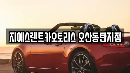 경기도 오산시 내삼미동 렌트카 전문 지에스렌트카오토리스 오산동탄지점