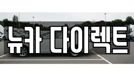 경기도 오산시 내삼미동 장기렌트카 전문 뉴카 다이렉트