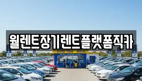 경기도 오산시 내삼미동 장기렌트카 전문 월렌트장기렌트플랫폼직카