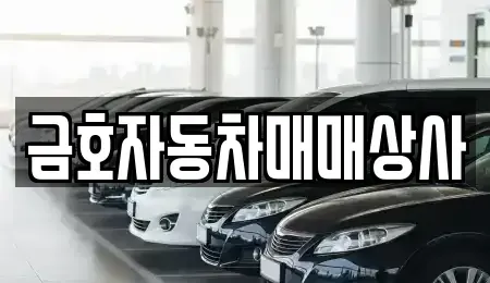 경기도 오산시 내삼미동 중고차 전문 금호자동차매매상사