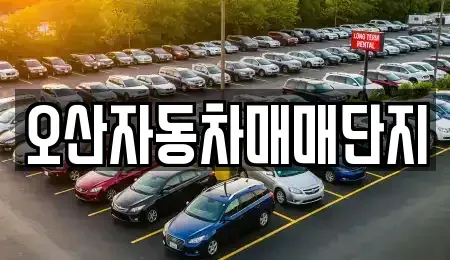 경기도 오산시 내삼미동 중고차 전문 오산자동차매매단지