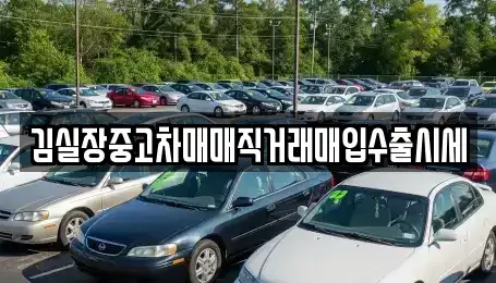경기도 파주시 진동면 중고차 전문 김실장중고차매매직거래매입수출시세