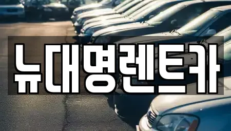 경기도 평택시 지제동 렌트카 전문 뉴대명렌트카
