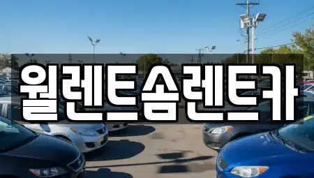 경기도 평택시 지제동 렌트카 전문 월렌트솜렌트카