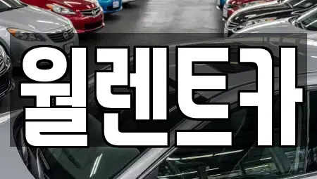 경기도 평택시 지제동 렌트카 전문 월렌트카