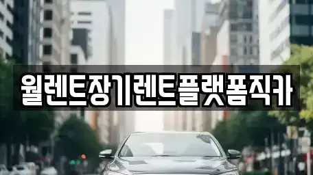 경기도 평택시 지제동 장기렌트카 전문 월렌트장기렌트플랫폼직카