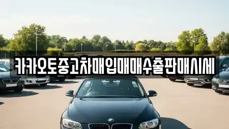 경기도 평택시 지제동 중고차매입 전문 카카오토중고차매입매매수출판매시세