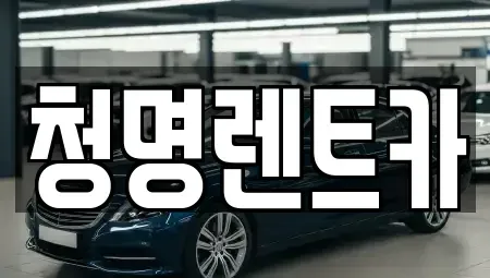 경기도 화성시 석우동 단기렌트카 전문 청명렌트카