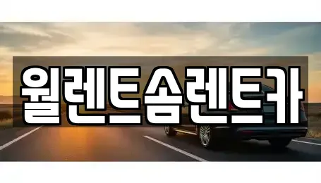 경기도 화성시 석우동 렌트카 전문 월렌트솜렌트카