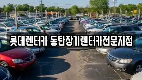 경기도 화성시 석우동 장기렌트카 전문 롯데렌터카 동탄장기렌터카전문지점