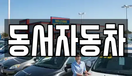 경남 창원시 마산합포구 월영동 중고차 전문 동서자동차