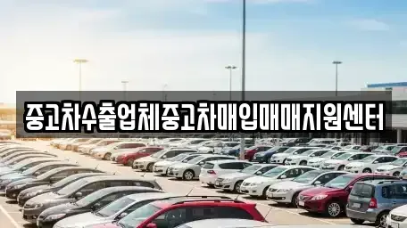 경남 창원시 마산합포구 중앙동3가 중고차 전문 중고차수출업체중고차매입매매지원센터