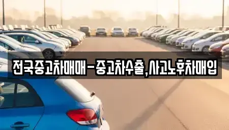 경남 창원시 마산합포구 중앙동3가 중고차매입 전문 전국중고차매매-중고차수출,사고노후차매입