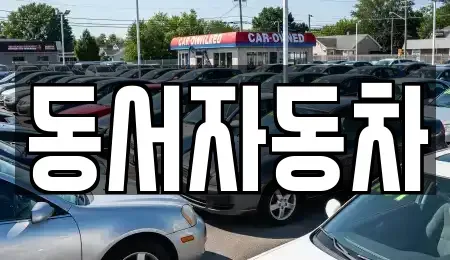 경북 상주시 외답동 중고차 전문 동서자동차