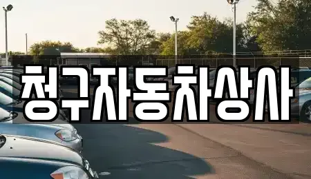 경북 상주시 외답동 장기렌트카,중고차,렌트카,단기렌트카,중고차매입,중고차매매