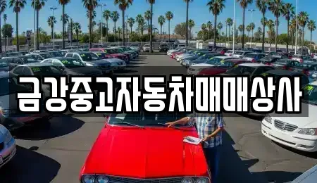 경북 영주시 안정면 중고차매매 전문 금강중고자동차매매상사