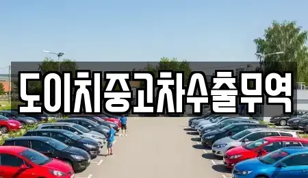 경북 영천시 도림동 중고차매매 전문 도이치중고차수출무역