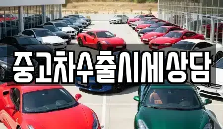 경북 영천시 도림동 중고차매매 전문 중고차수출시세상담