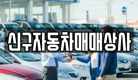 경상남도 거제시 동부면 중고차 전문 신구자동차매매상사