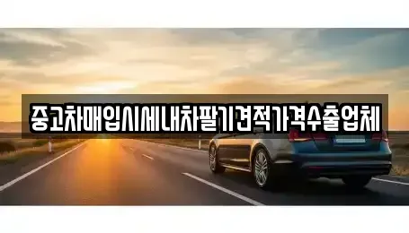 경상남도 창원시 성산구 남산동 중고차매입 전문 중고차매입시세내차팔기견적가격수출업체