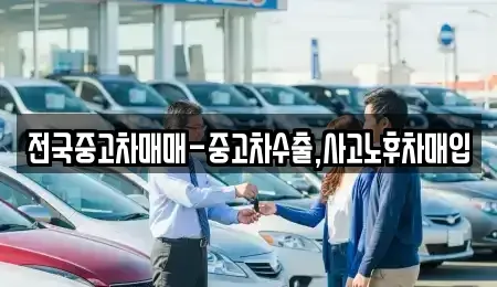경상남도 창원시 의창구 용동 중고차매입 전문 전국중고차매매-중고차수출,사고노후차매입