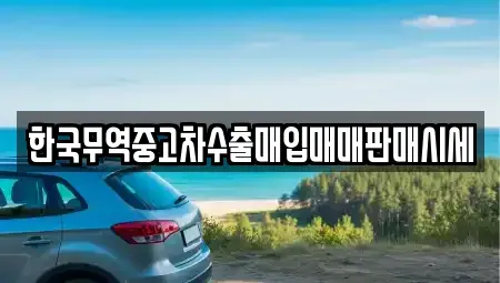 경상남도 창원시 의창구 용동 중고차매입 전문 한국무역중고차수출매입매매판매시세