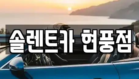 경상북도 고령군 렌트카 전문 솔렌트카 현풍점