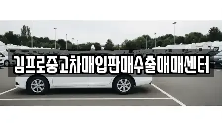 경상북도 고령군 중고차매입 전문 김프로중고차매입판매수출매매센터