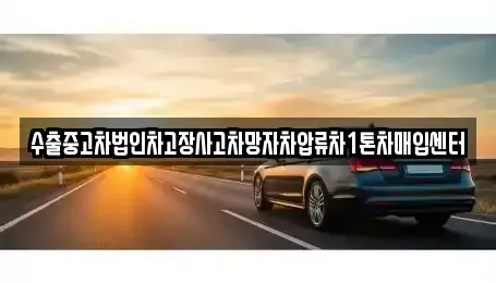 경상북도 고령군 중고차매입 전문 수출중고차법인차고장사고차망자차압류차1톤차매입센터