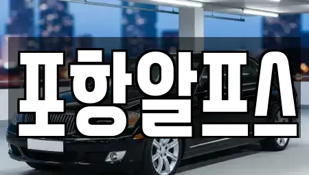 경상북도 상주시 화산동 렌트카 전문 포항알프스