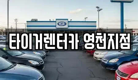 경상북도 영천시 완산동 렌트카,단기렌트카,장기렌트카,중고차,중고차매매,중고차매입