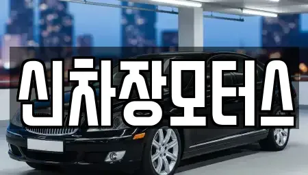 경상북도 포항시 남구 인덕동 중고차 전문 신차장모터스