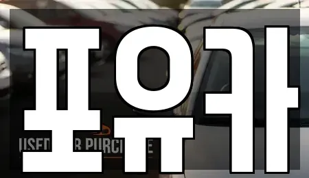 경상북도 포항시 남구 인덕동 중고차 전문 포유카