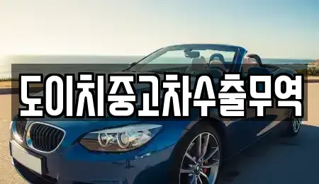 경상북도 포항시 남구 인덕동 중고차매매 전문 도이치중고차수출무역