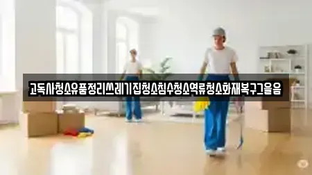 고독사청소유품정리쓰레기집청소침수청소역류청소화재복구그을음