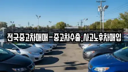 광주 광산구 북산동 중고차매입 전문 전국중고차매매-중고차수출,사고노후차매입