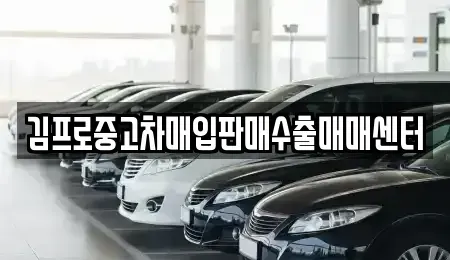 광주 동구 충장로4가 중고차매매,단기렌트카,중고차매입,장기렌트카,중고차,렌트카