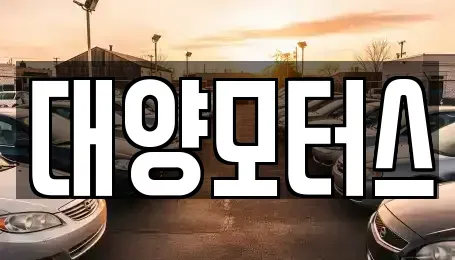 광주광역시 북구 덕의동 중고차매매 전문 대양모터스