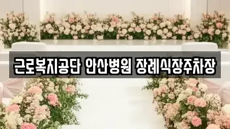 안산시 상록구 팔곡일동 웨딩컨설팅 위치정보 3