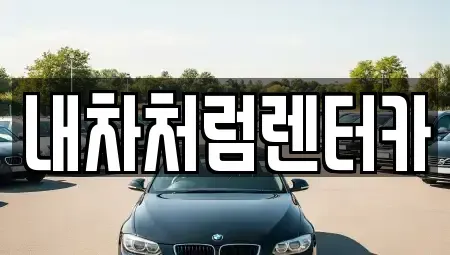 대구 동구 상매동 렌트카 전문 내차처럼렌터카