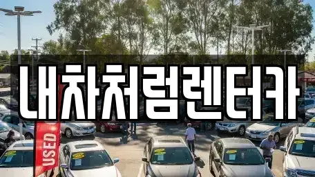 대구 중구 동일동 렌트카 전문 내차처럼렌터카