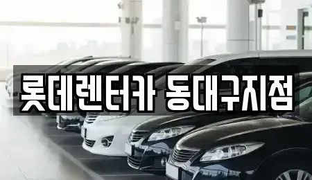 대구광역시 동구 불로동 렌트카 전문 롯데렌터카 동대구지점