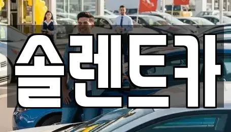 대구광역시 동구 불로동 렌트카 전문 솔렌트카