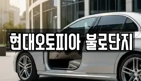 대구광역시 동구 불로동 중고차매매 전문 현대오토피아 불로단지