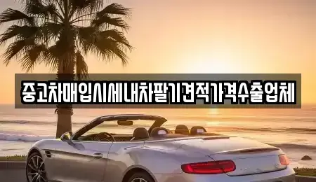 대구광역시 동구 불로동 중고차매입 전문 중고차매입시세내차팔기견적가격수출업체