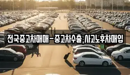 대구광역시 중구 서성로2가 중고차 전문 전국중고차매매-중고차수출,사고노후차매입