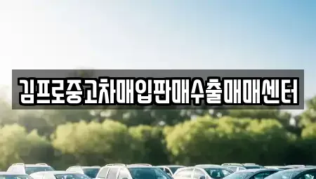 대전 중구 중고차매입 전문 김프로중고차매입판매수출매매센터