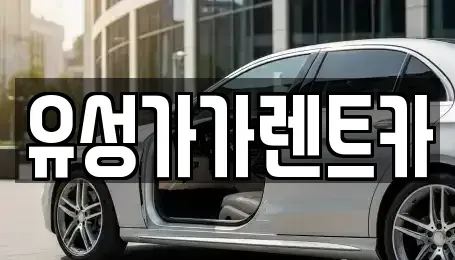 대전광역시 유성구 죽동 렌트카 전문 유성가가렌트카