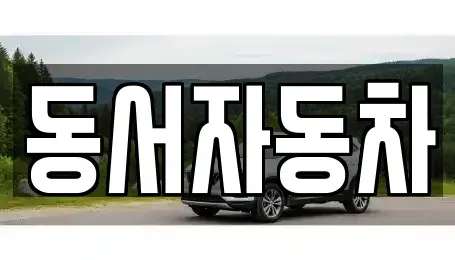 부산 영도구 봉래동4가 중고차매매 전문 동서자동차