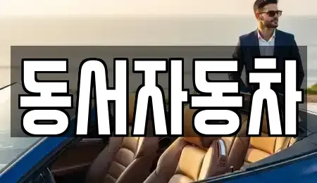 부산 중구 중앙동1가 중고차 전문 동서자동차